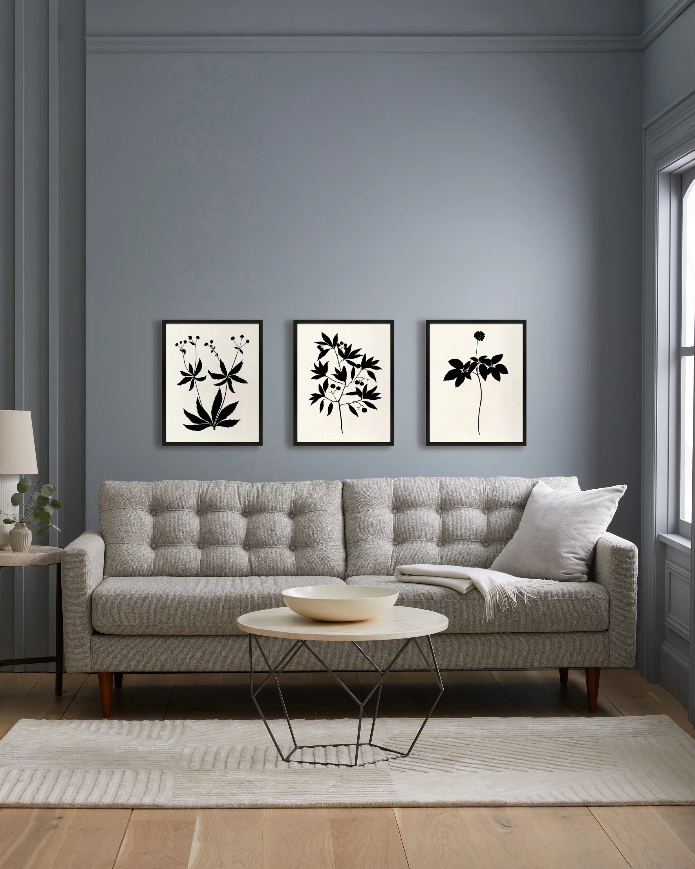 Botanical by Philippa Katz (Set of 3) - 17.25"x21.25" / Black Secondary image