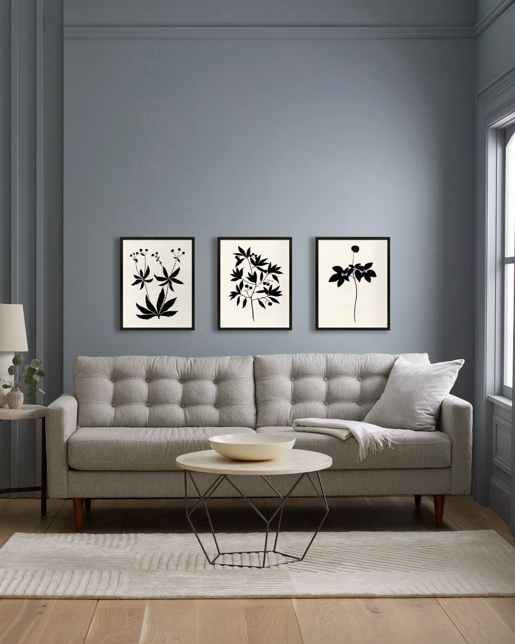 Botanical by Philippa Katz (Set of 3) - 17.25"x21.25" / Black