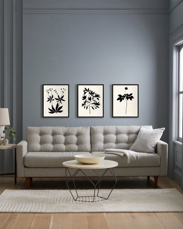 Botanical by Philippa Katz (Set of 3) - 17.25"x21.25" / Black