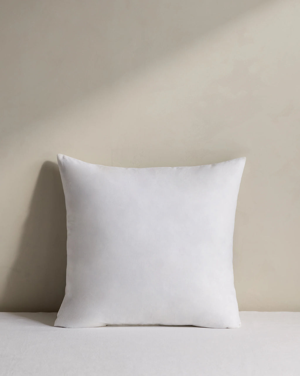 Premium Feather Pillow Insert (Set of 2) - 20x20 / No Color