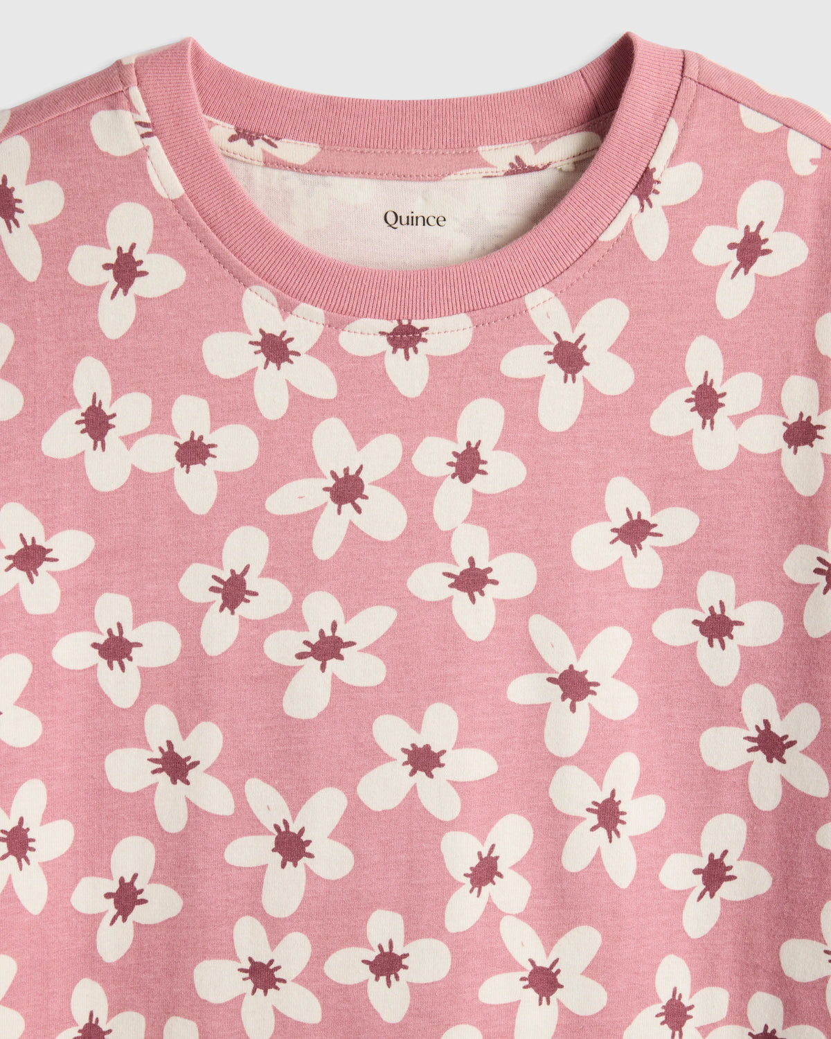 100% Organic Cotton Jersey Short Sleeve Tee - 2T / Dino Sketch