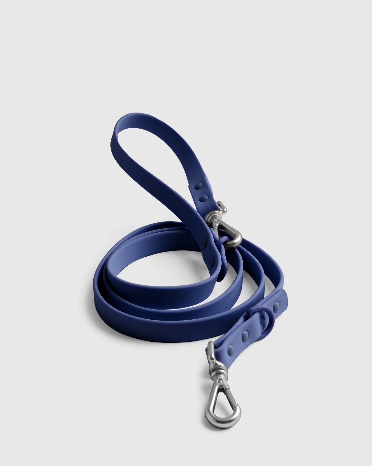 Flex-Poly Dog Leash - Standard / Black