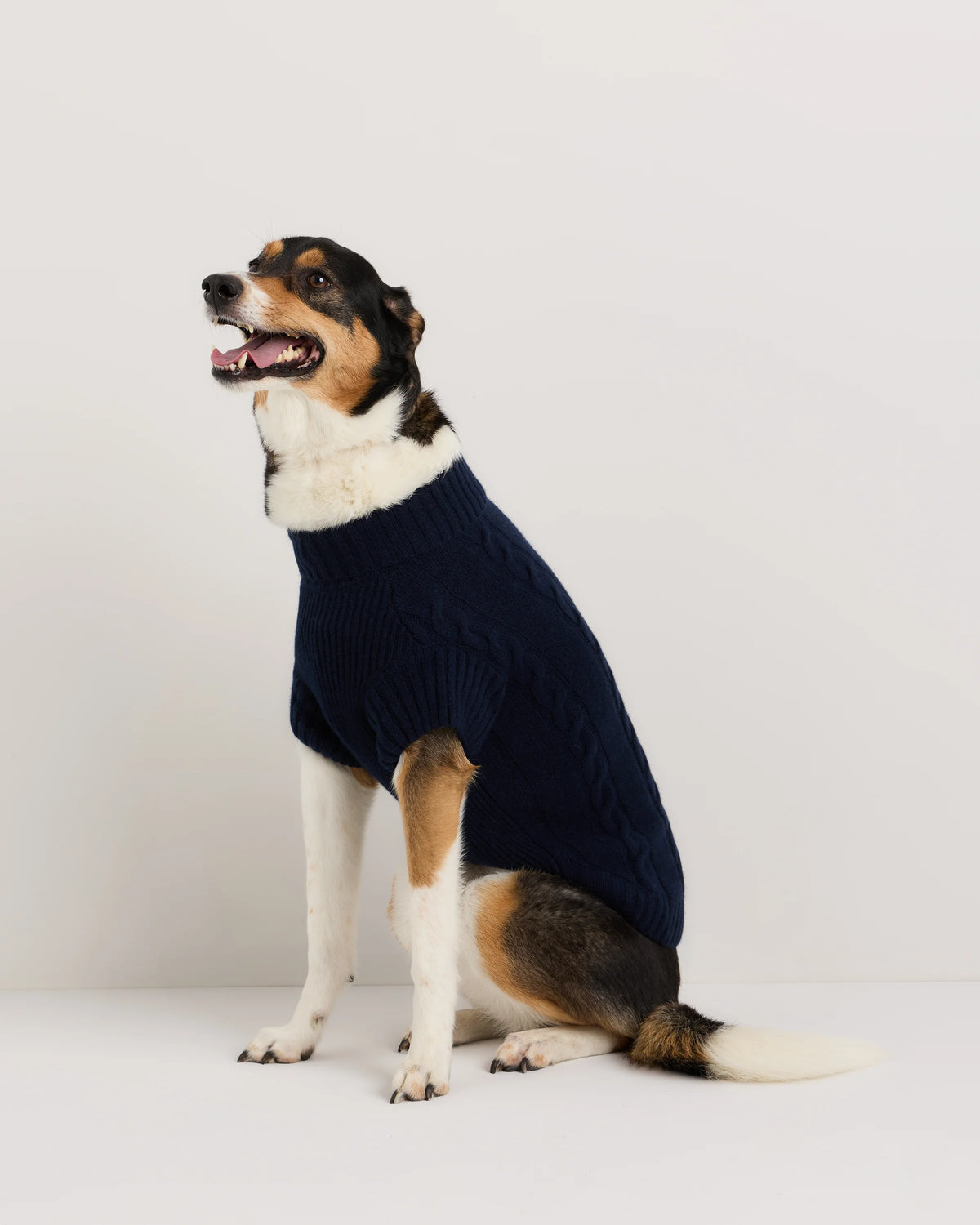 Mongolian Cashmere Cable Knit Dog Sweater - XS / True Navy Main image