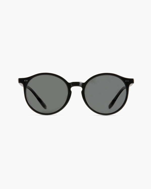 Brixton Polarized Acetate Sunglasses - Standard / Clear Taupe with Brown lens