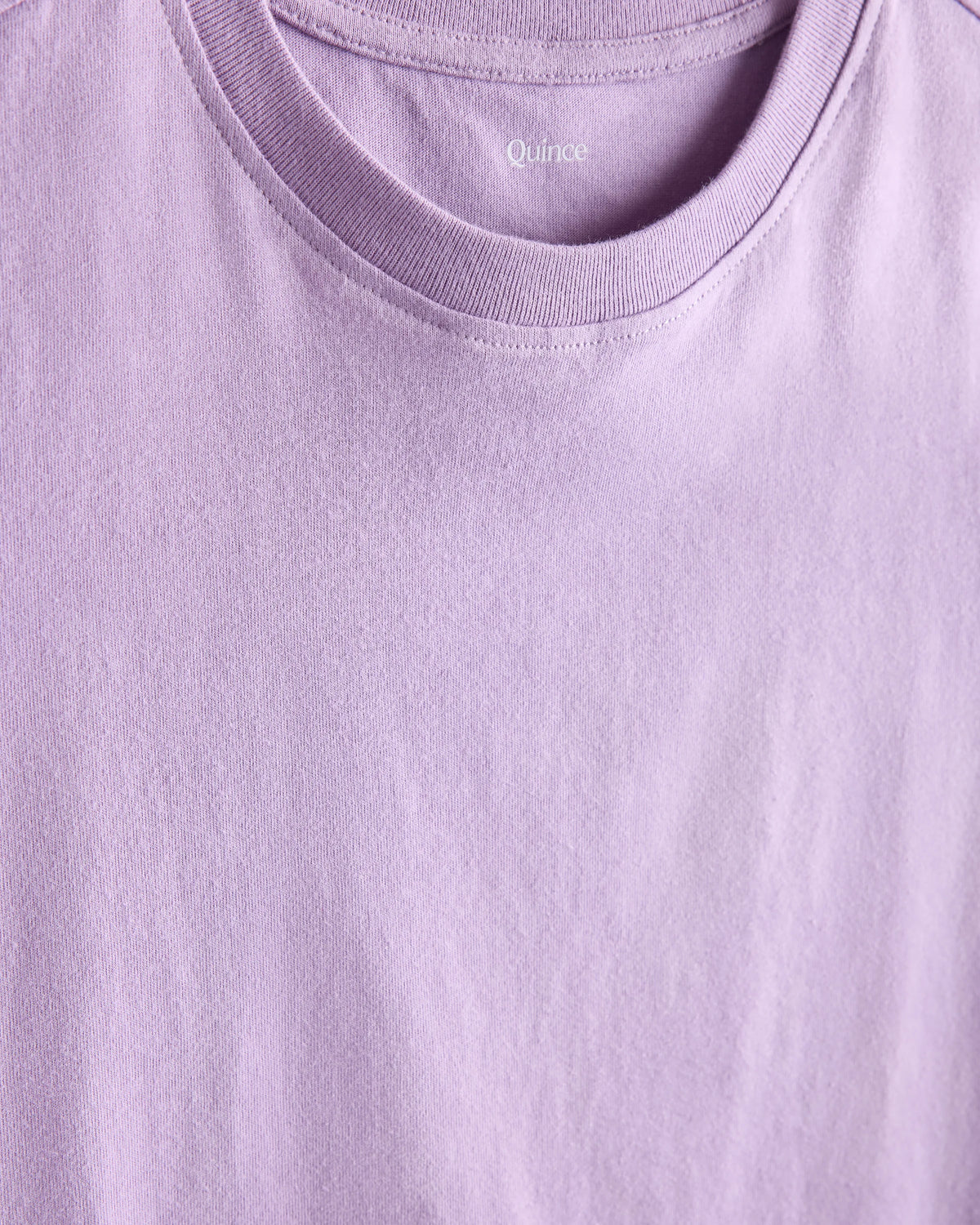 100% Organic Cotton Jersey Short Sleeve Tee - 2T / Dino Sketch
