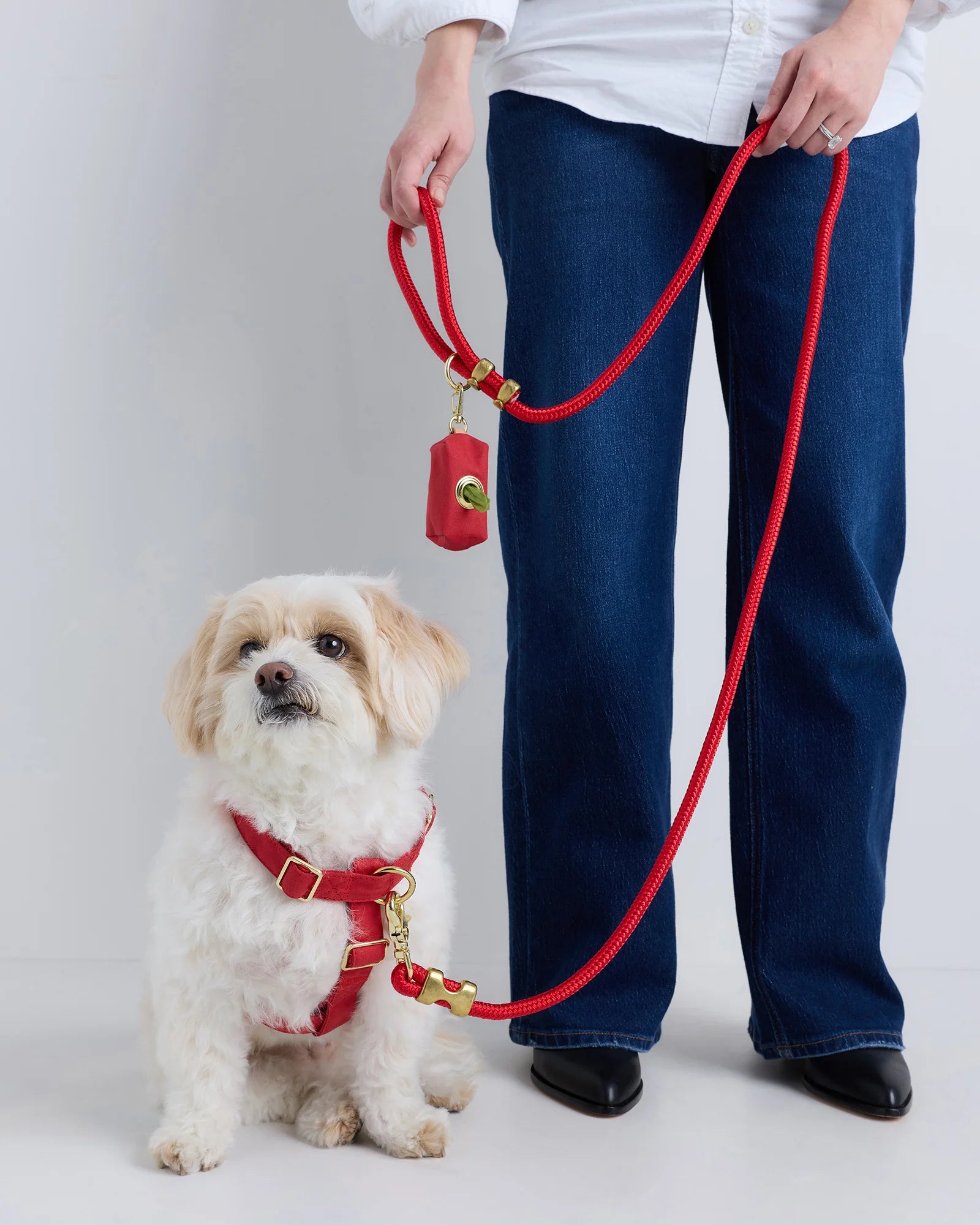 100% Cotton-Wrapped Nylon Dog Harness Walk Kit - XS / Ruby Secondary image