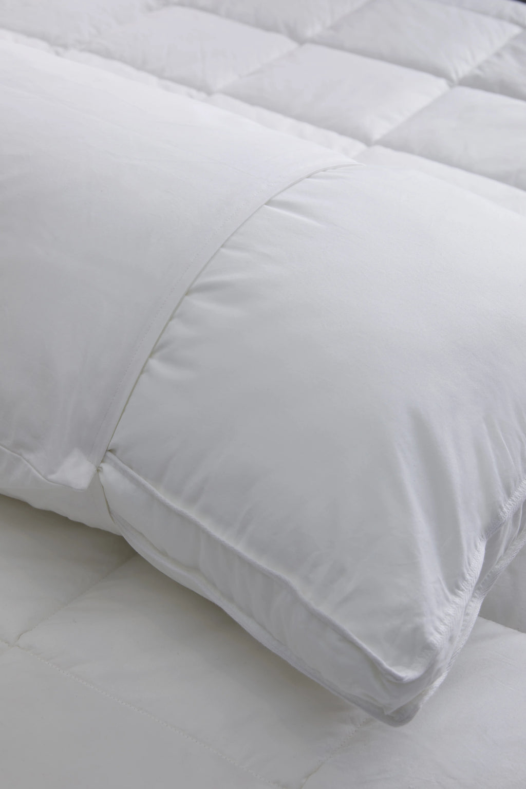 100% Cotton Pillow Protectors (Set of 2) - Standard / White