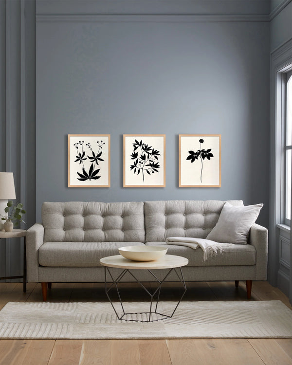 Botanical by Philippa Katz (Set of 3) - 17.25"x21.25" / Black