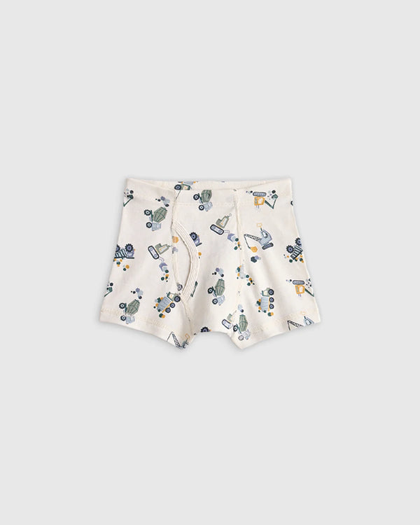 Boys 100% Organic Cotton Boxer Brief 7-Pack - 2T / Boy Multi Pack