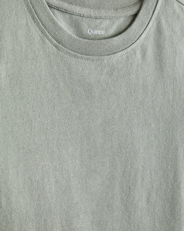 100% Organic Cotton Jersey Long Sleeve Tee - 2T / Dino Sketch