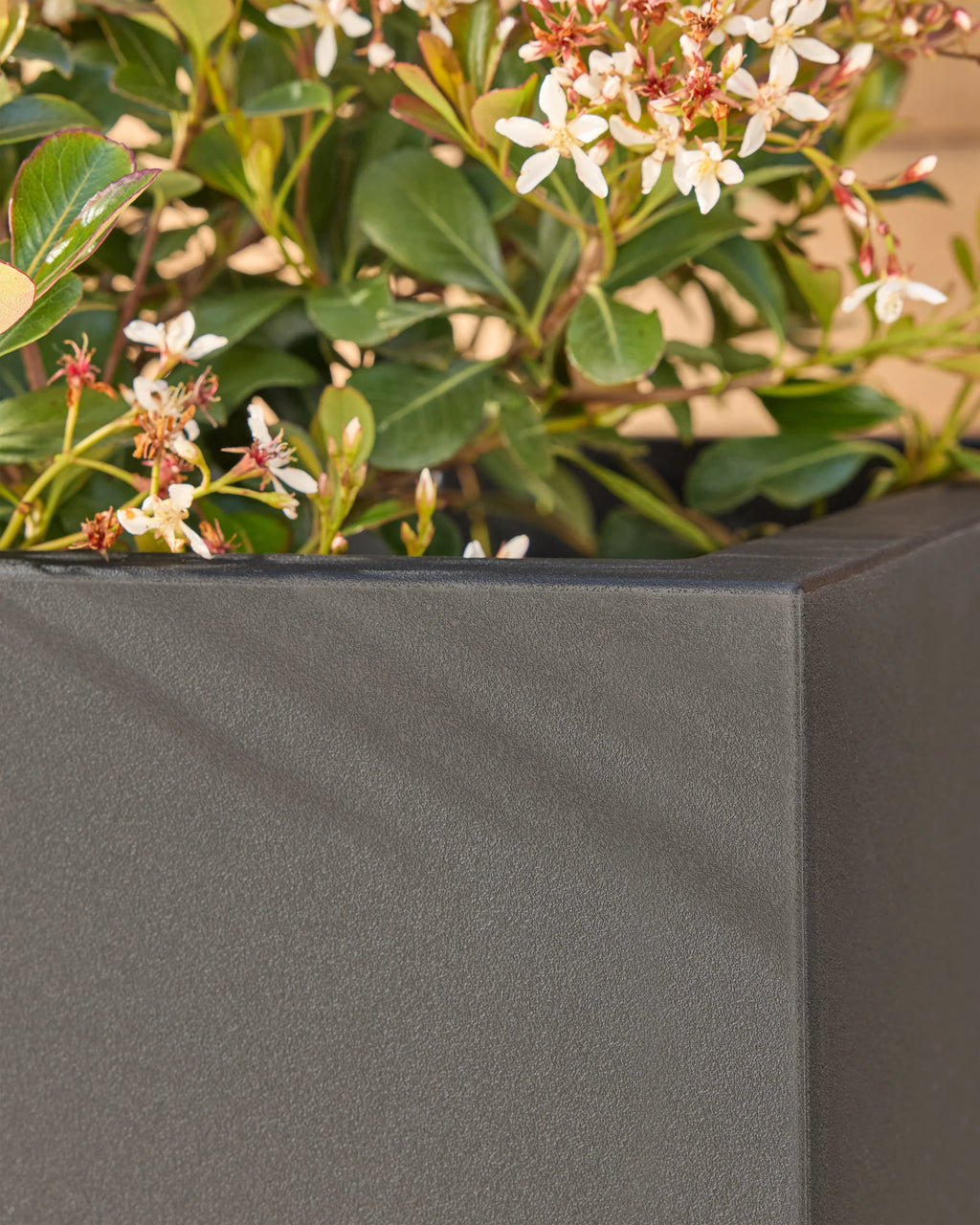 Block Series All Weather Square Planter by Veradek - One Size / Black