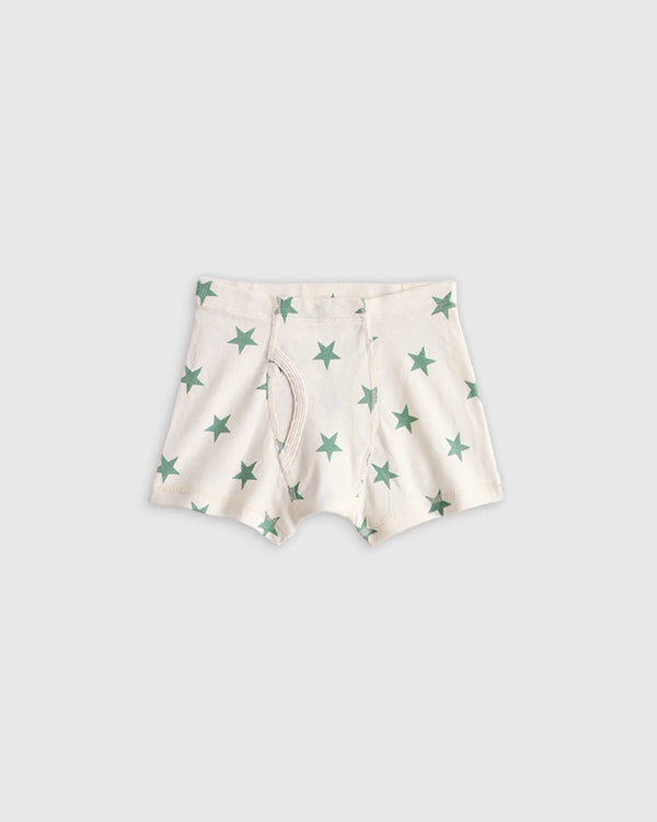 Boys 100% Organic Cotton Boxer Brief 7-Pack - 2T / Boy Multi Pack