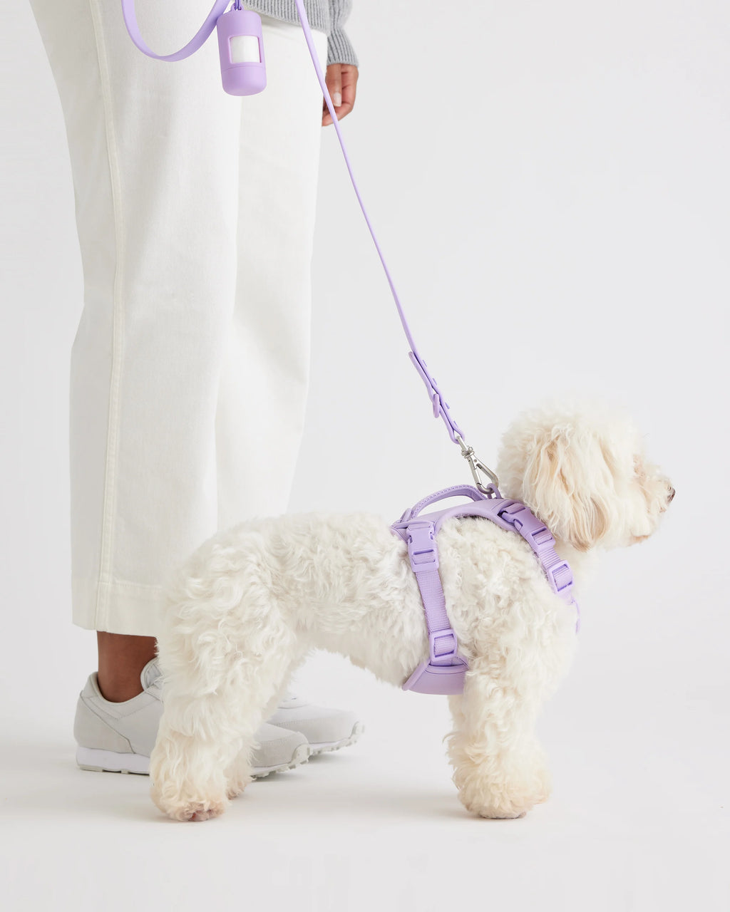 Dog Harness Walk Kit - XS / Black