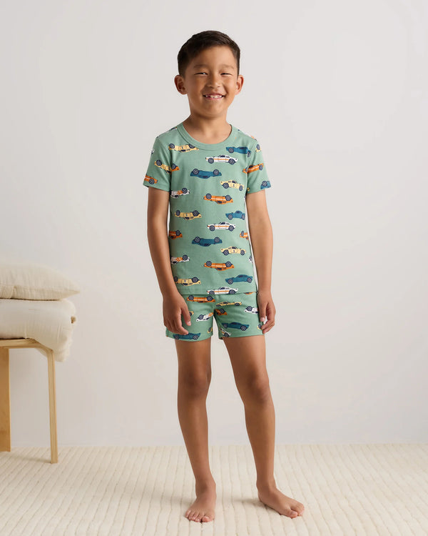 100% Organic Cotton Short Sleeve and Shorts Pajama Set - 6 / Navy Stripe