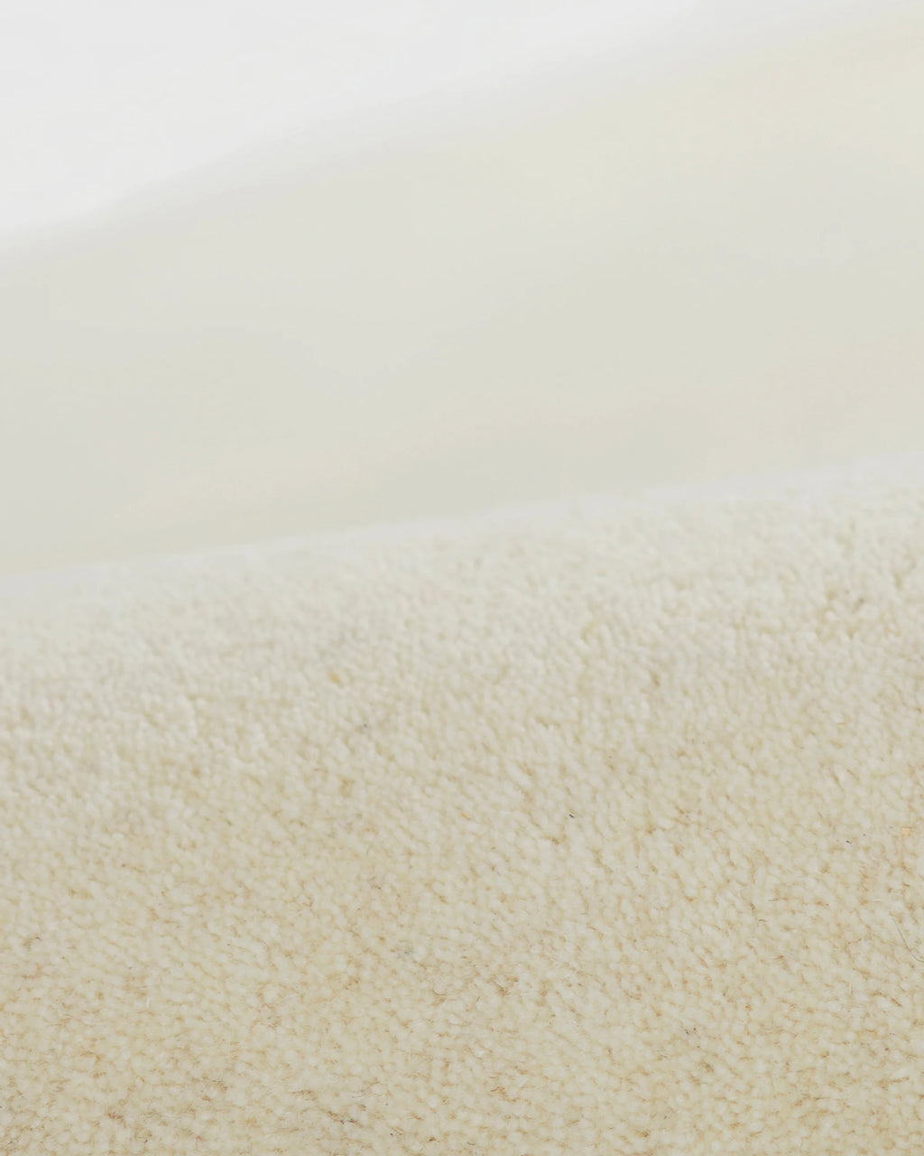 Scalloped Border Hand-Tufted Rug - 5' x 8' / Mustard