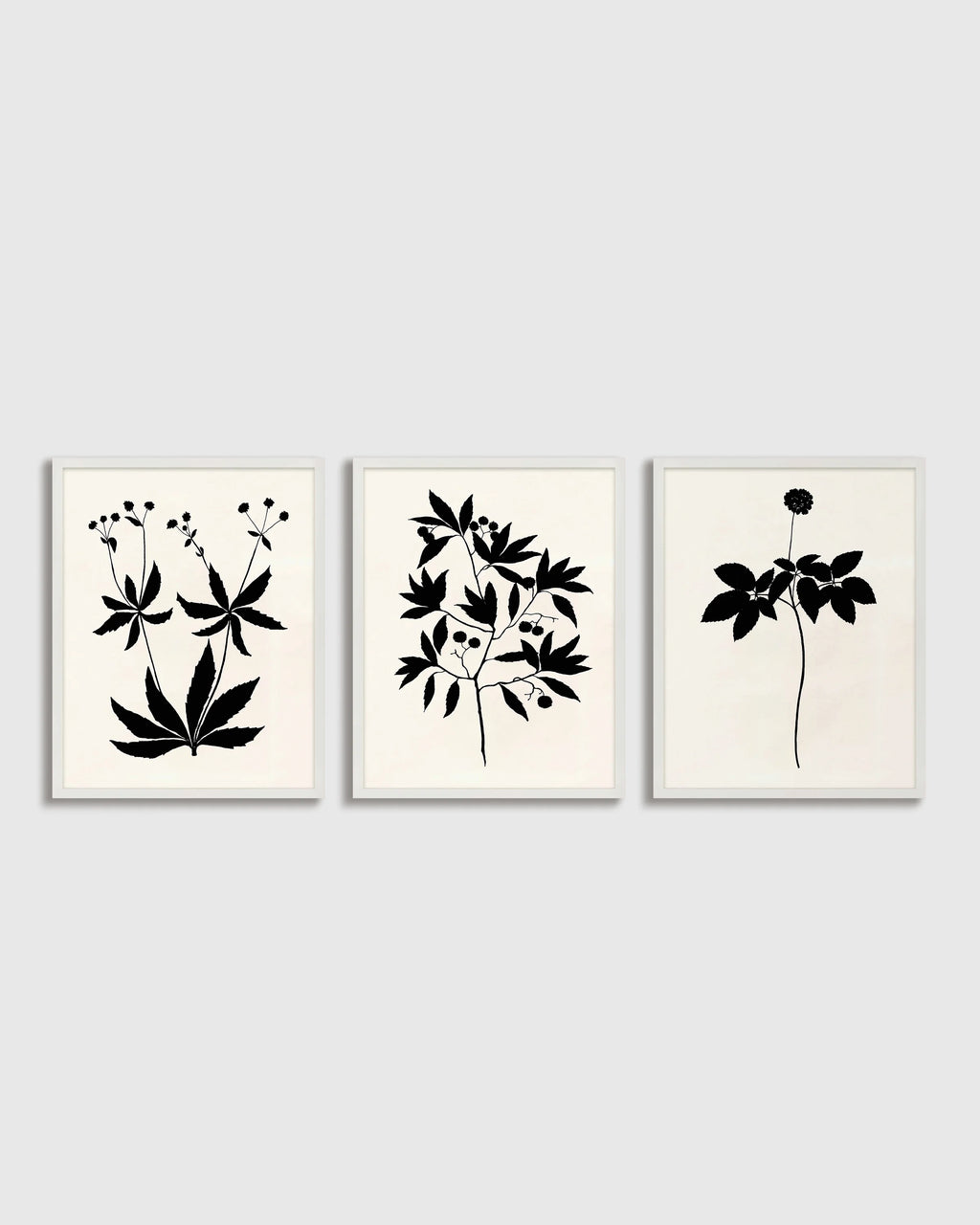 Botanical by Philippa Katz (Set of 3) - 17.25"x21.25" / Black