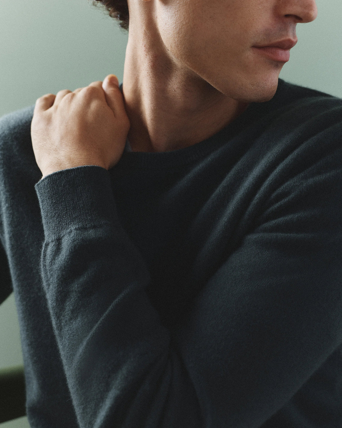 Mongolian Cashmere Crewneck Sweater - XS / Black