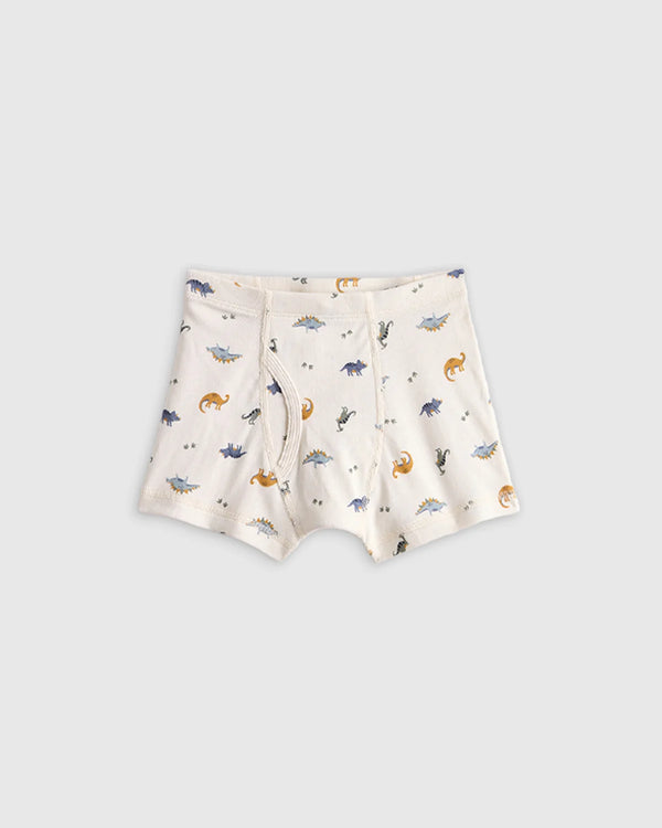 Boys 100% Organic Cotton Boxer Brief 7-Pack - 6 / Boy Multi Pack