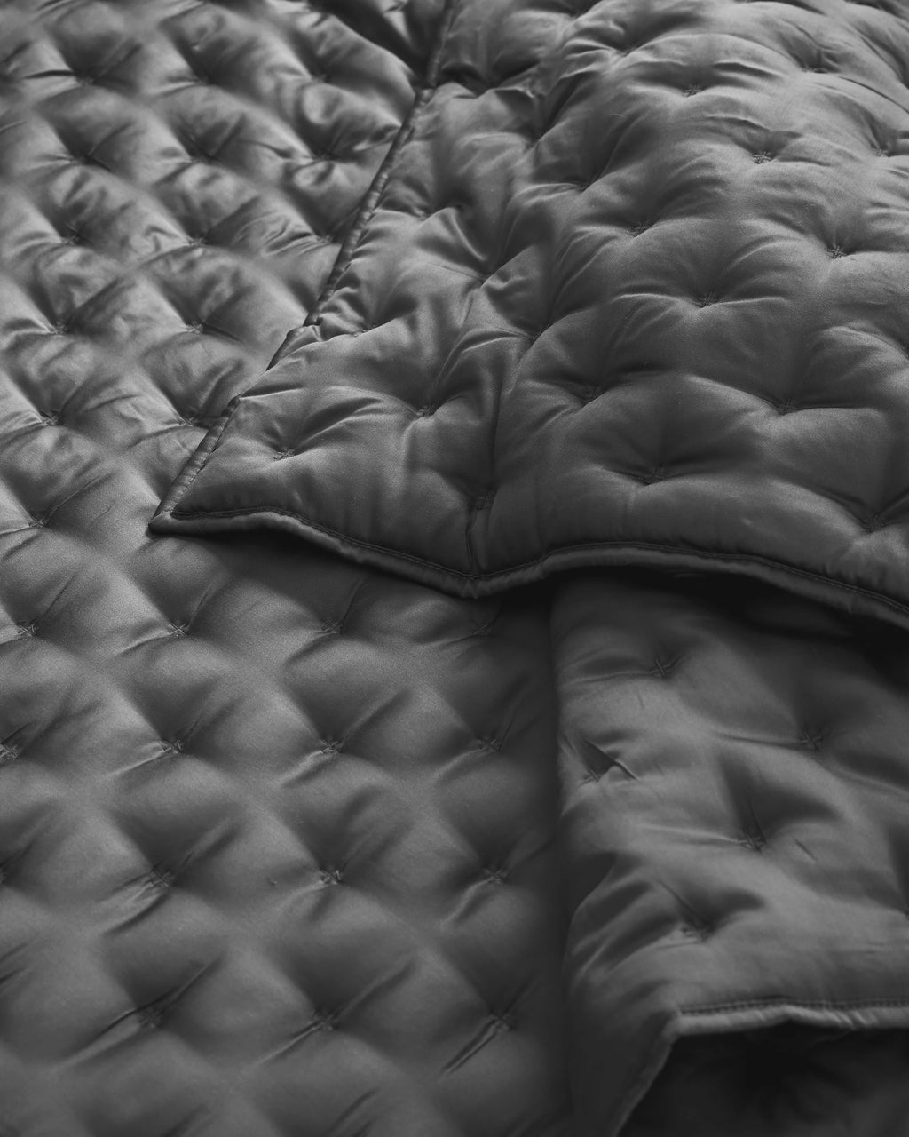 Bamboo Dream Quilt Set - Twin / Sage