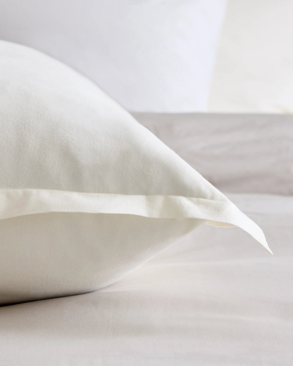 Organic Brushed Cotton Euro Sham - Euro / Dusty Olive